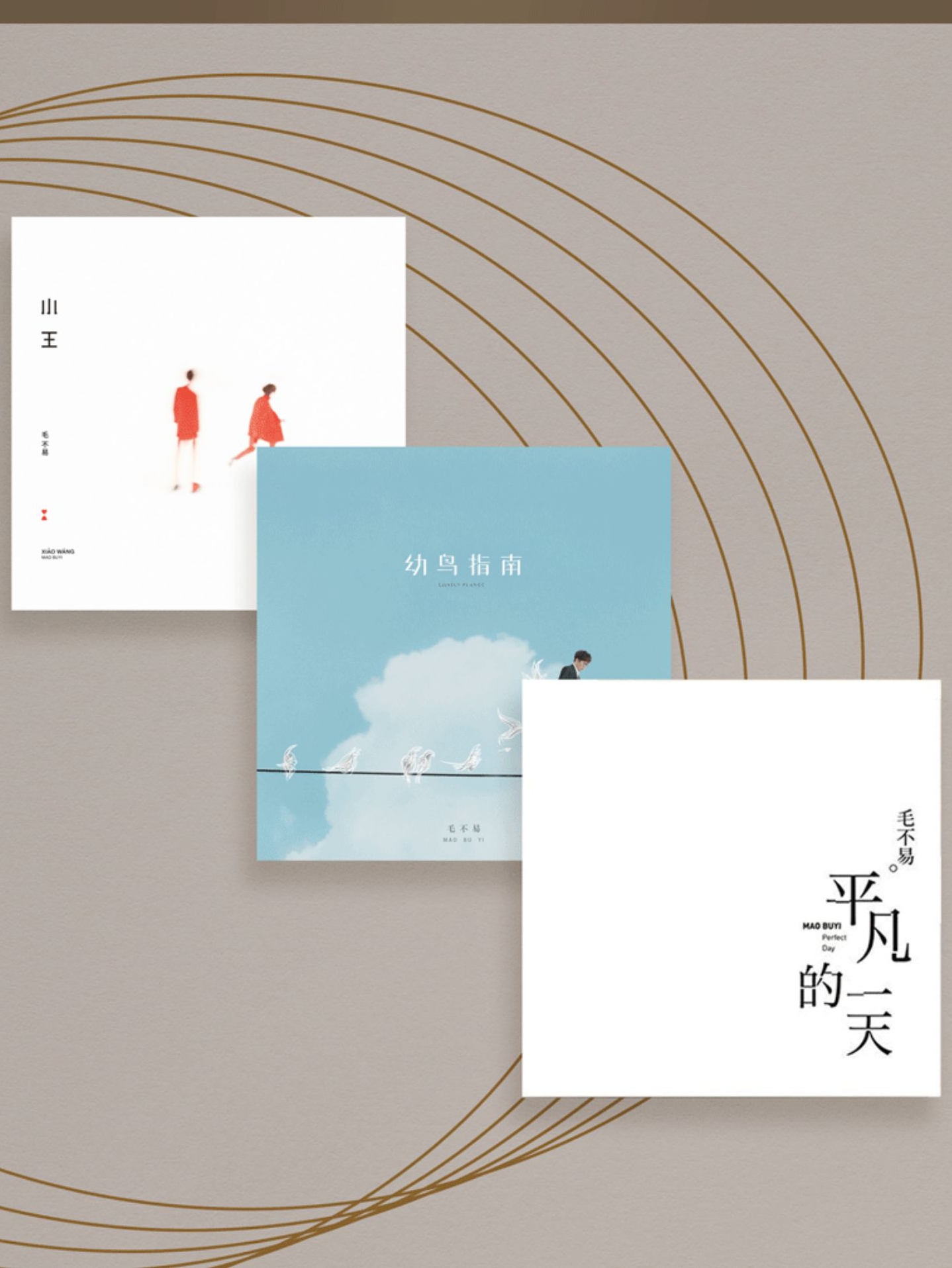 现货正版 毛不易专辑 平凡的一天+小王+幼鸟指南 5lp黑胶唱片周边