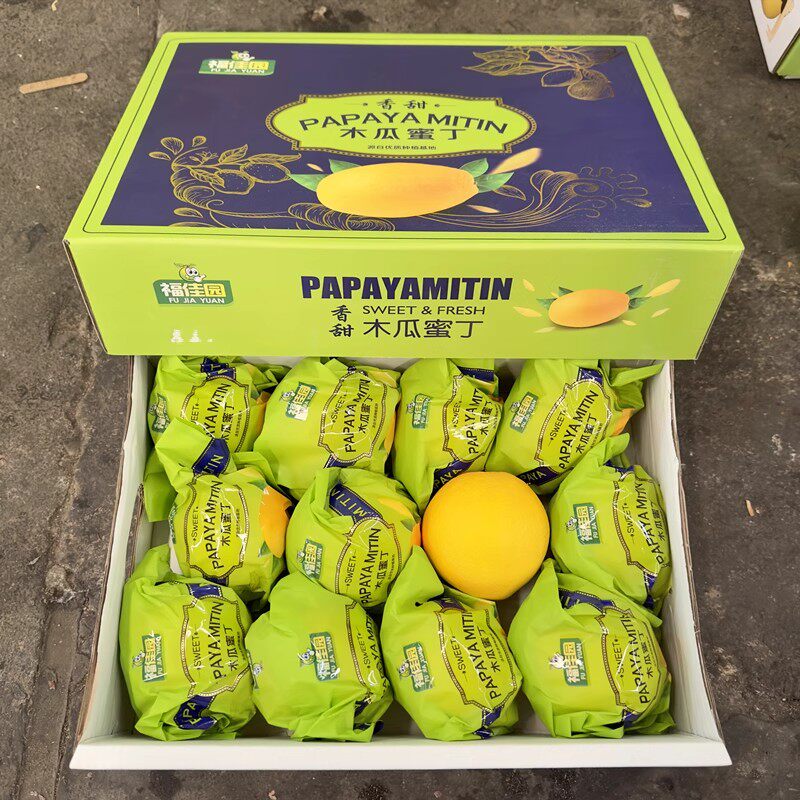 现货木瓜蜜丁橙5斤现摘味美多汁当季新鲜水果橙子脐橙护甜整箱