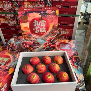 九霄云脆苹果新鲜当季 脆甜红苹果水果礼盒国产富士苹果