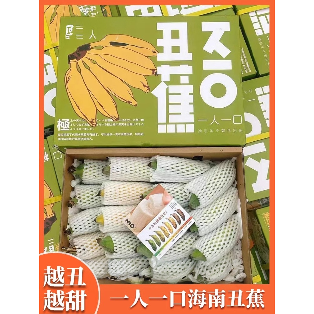 一人一口海南丑蕉3斤礼盒装树熟香糯软甜丑蕉小米蕉当季水果