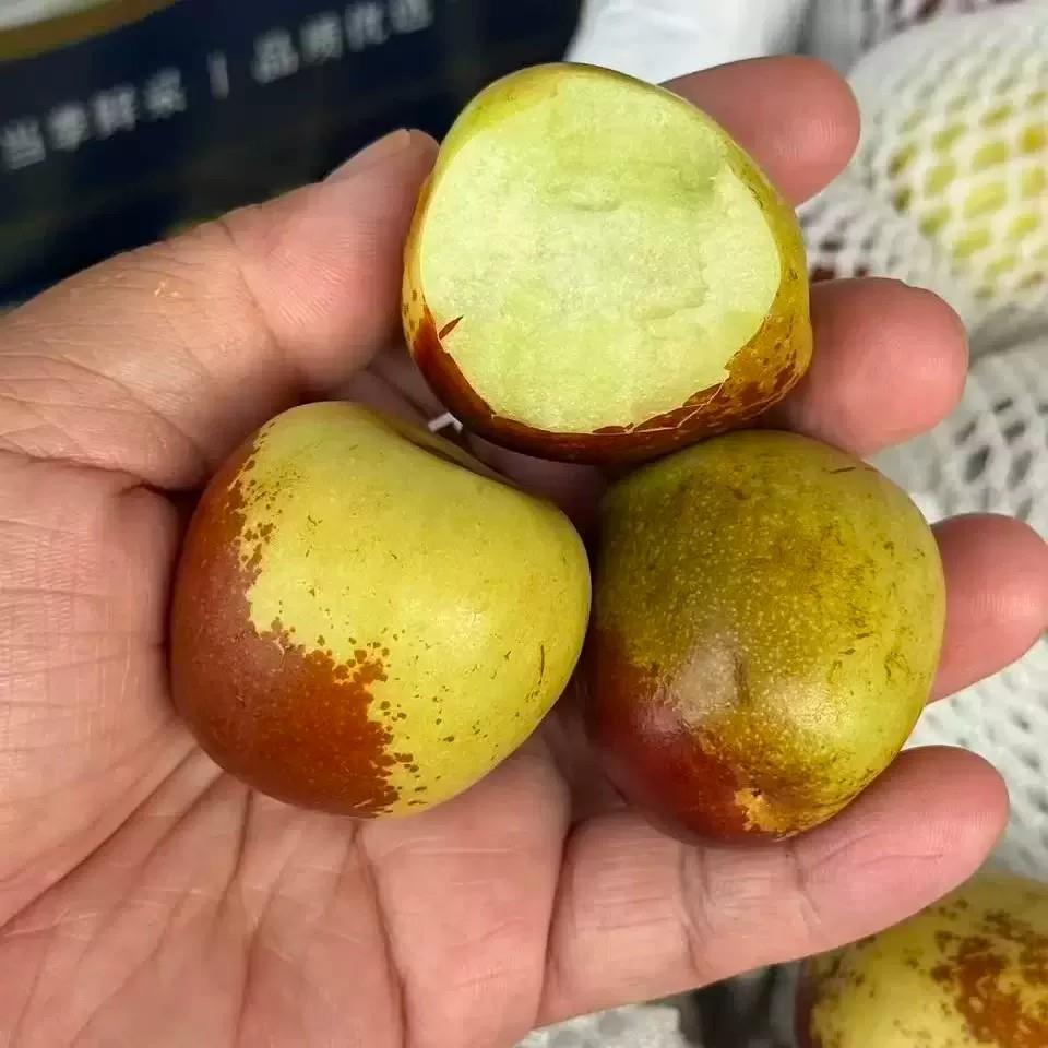 产自新疆的牛奶冬枣应季新鲜水果大果鲜枣子脆甜冰糖枣整箱包邮