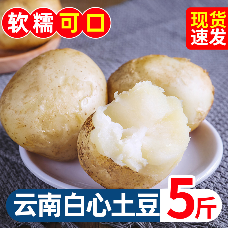 云南白心小土豆5斤农家现挖洋芋新鲜现挖蔬菜白土豆小马铃薯