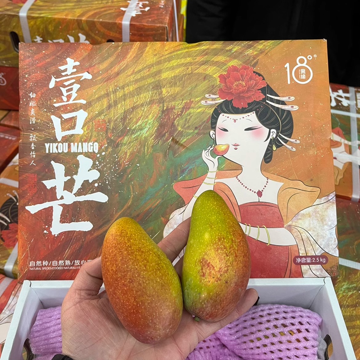 壹口芒海南树上熟空运贵妃芒红金龙18度芒果纯甜多汁新鲜