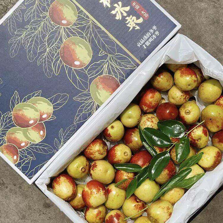 大糖蜜探老树冰枣产自陕西大荔的冬枣礼盒装新鲜当季水果脆甜多汁