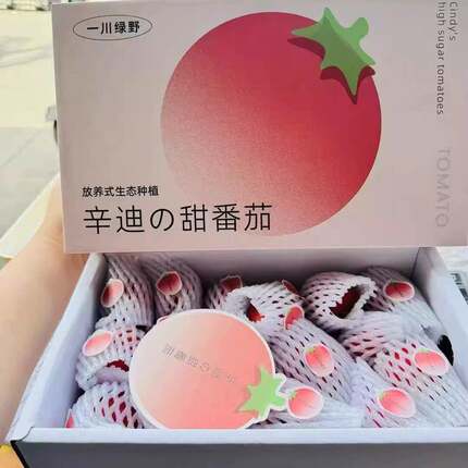 辛迪高糖番茄原种引进水果番茄味浓3斤装礼盒高糖小番茄包邮