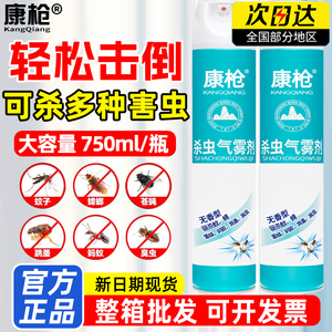 家用室内杀虫剂灭蚊喷雾剂750ml