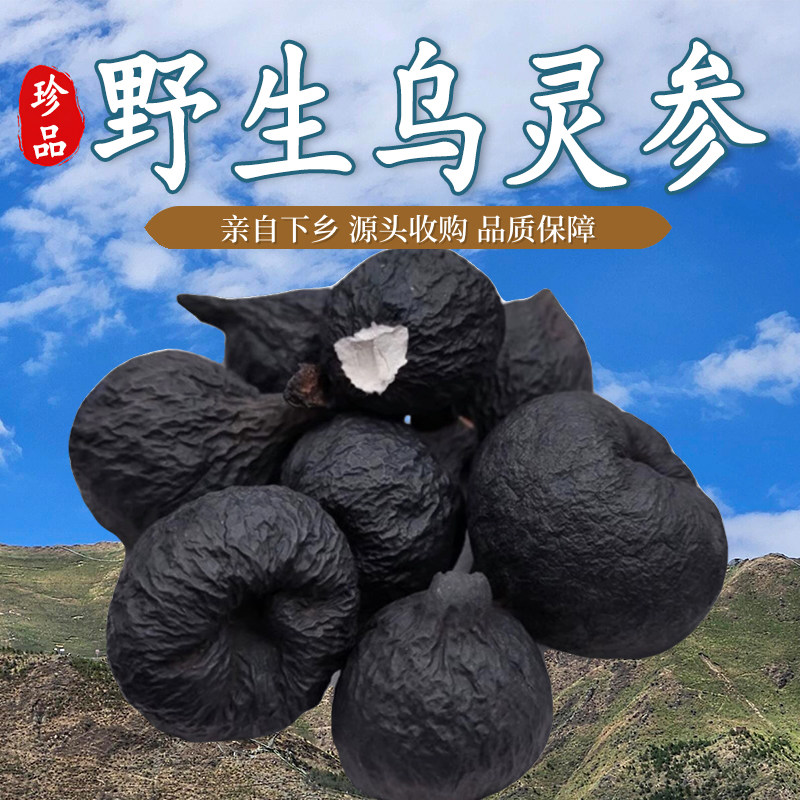 干货乌灵芝特级鸡茯苓西藏菌粉