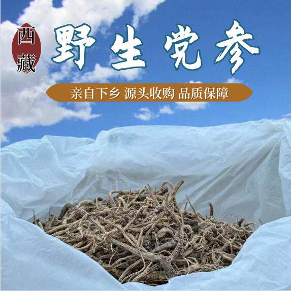 野生特级党参西藏特产煲汤