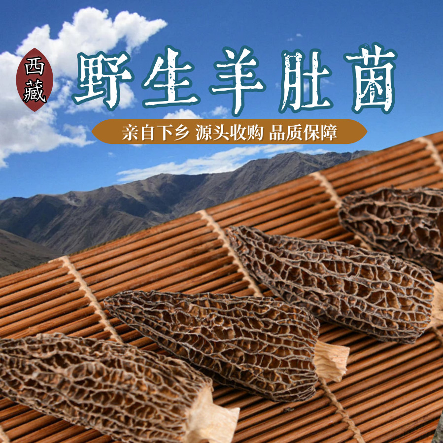西藏纯野生羊肚菌干货礼盒