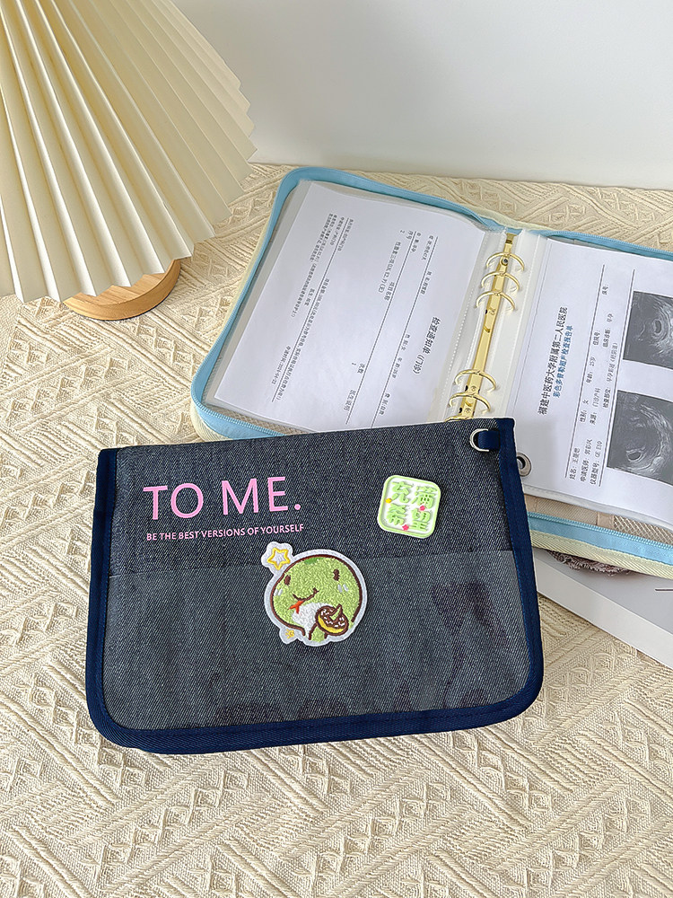 뱀  키큰 임산부 A4A5 ??산전 검진 수납장 임신 검진 B-초음파 임신 소형 휴대용 정보 파일북