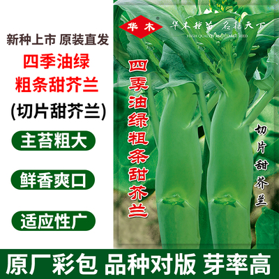四季芥兰种子种籽子粗条甜脆鸡腿芥蓝广东菜籽秋季蔬菜种籽孑菜种