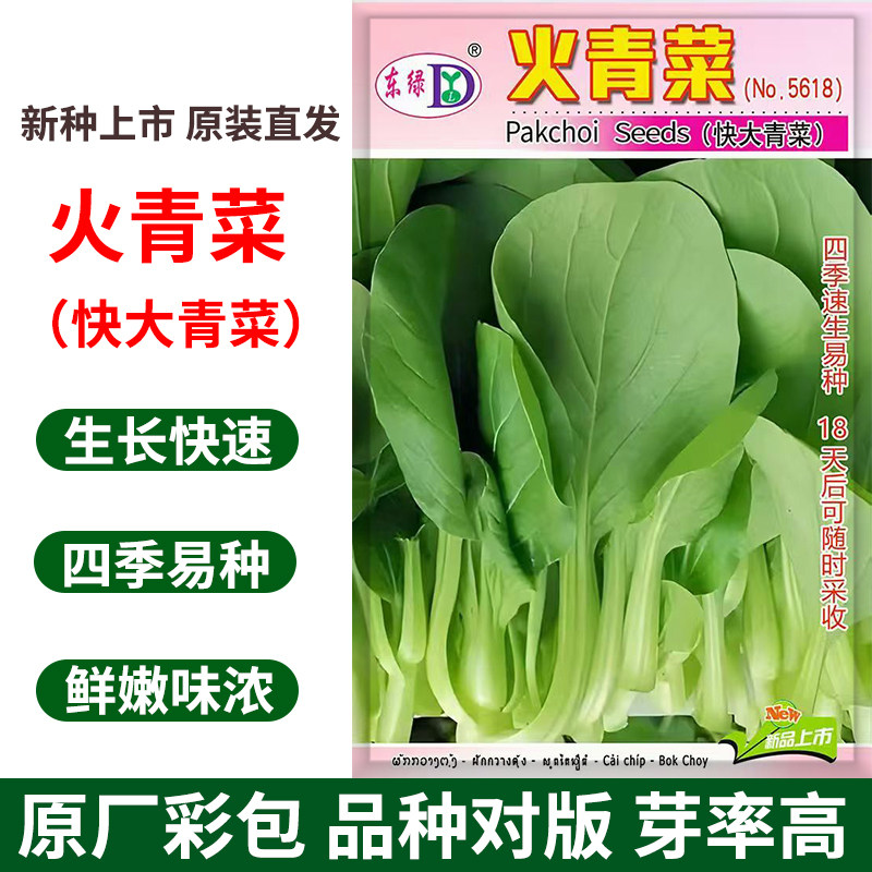 火青菜种子四季快大速生小白菜种籽鸡毛菜油菜阳台盆栽蔬菜种孑籽图片