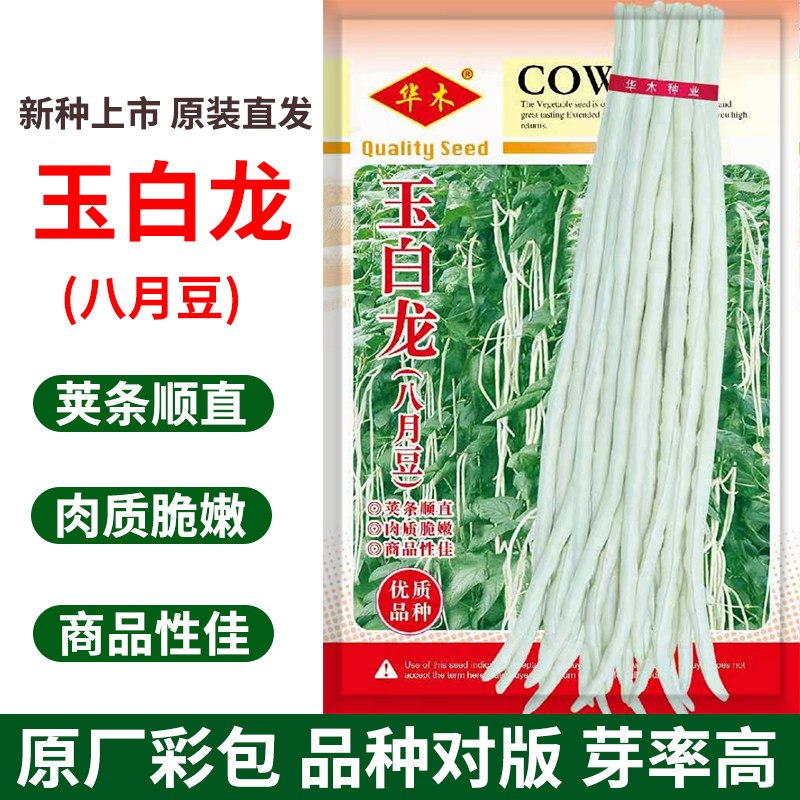 玉白龙八月豆角种子豇豆种籽白豆角种籽耐热夏秋季上架爬藤珠仔豆