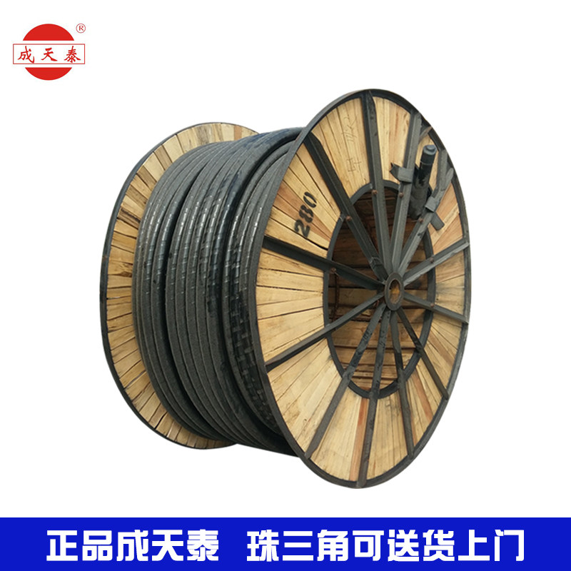 成天泰电缆线国标纯铜芯YJV22电缆2芯3芯5芯10 16 25 35平方硬线