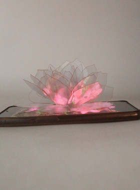 创意DIY手工定做PVC透明PET材料全息手机影像投影礼物3D立体花朵