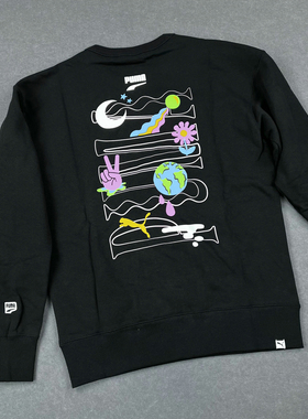 PUMA彪马卫衣男春秋新款圆领印花运动上衣休闲针织套头衫533037