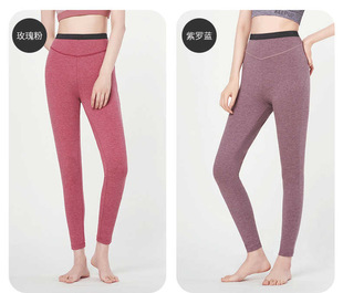 防寒透气瑜伽裤 三枪女弹力轻薄睡裤 纯色薄款 打底裤 女 秋冬棉质长裤
