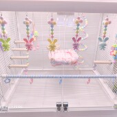 鹦鹉玩具鸟笼配件玄凤牡丹虎皮小太阳和尚鹦鹉用品鸟鹦鹉站杆爬梯