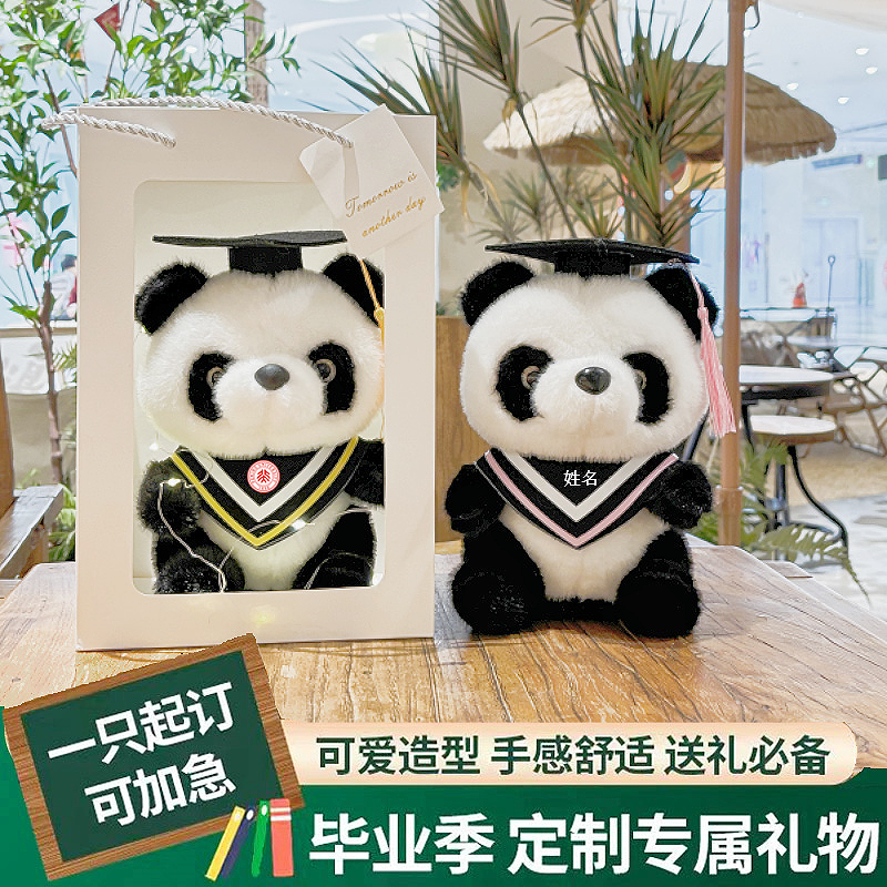 毕业小熊猫公仔玩偶博士熊布娃娃
