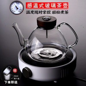 台湾宜龙感温式加厚耐热玻璃煮茶壶大号烧水壶耐高温家用泡茶壶