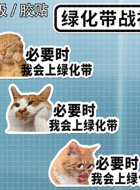 猫咪绿化带战神文字车贴