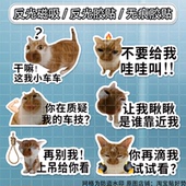 meme猫咪搞笑个性 文字车贴搞笑表情包创意装 饰贴防水后窗玻璃贴画