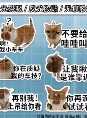 meme猫咪搞笑个性文字车贴搞笑表情包创意装饰贴防水后窗玻璃贴画