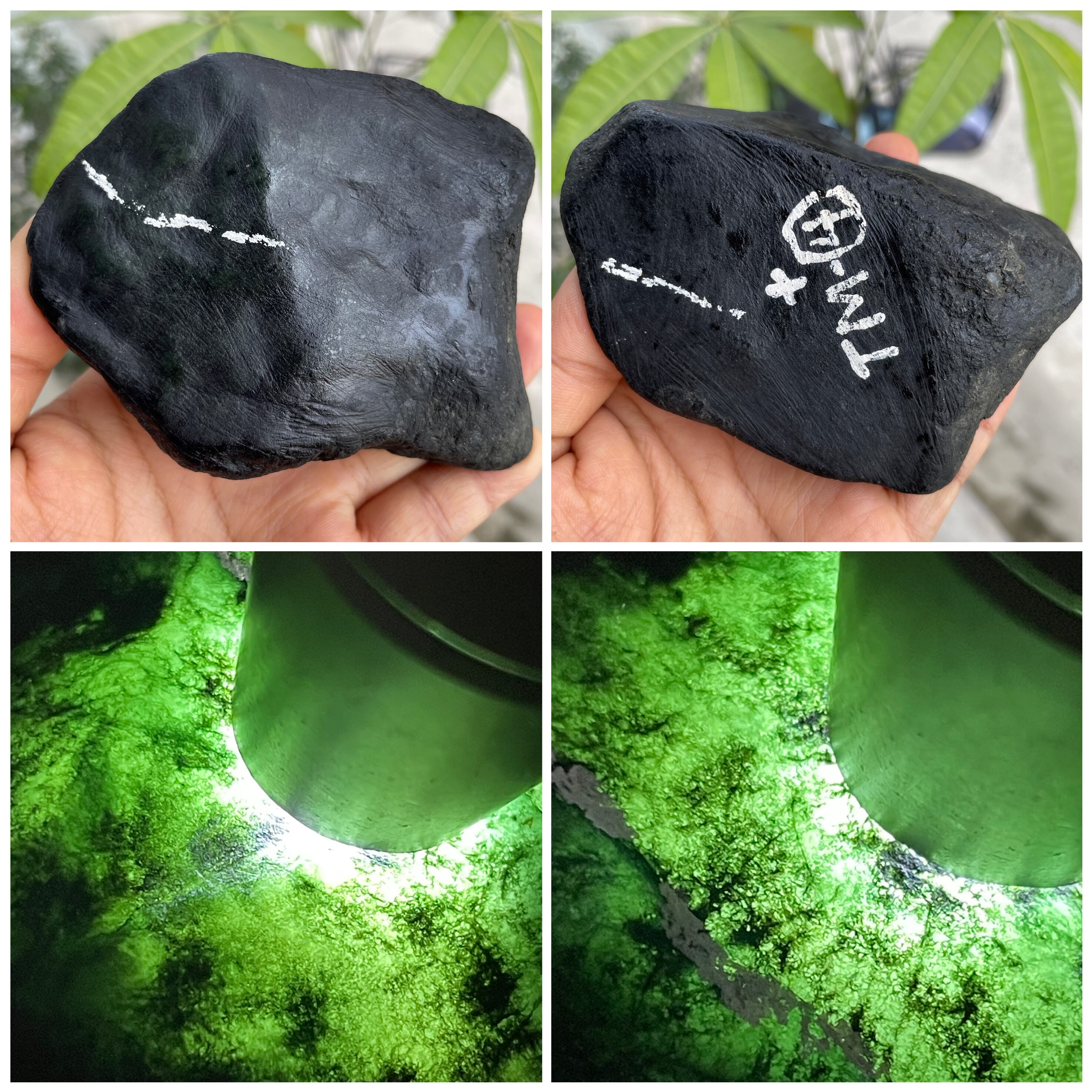 缅甸天然翡翠原石A货正品玉石毛料莫湾基精品料老坑