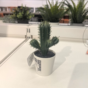 IKEA宜家菲卡人造盆栽植物室内/户外 仙人掌6 厘米假花代购