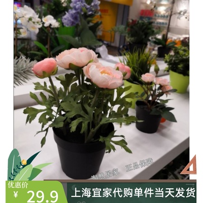 IKEA宜家代购 菲卡 人造盆栽植物绿色盆栽植物毛茛 粉红色代购