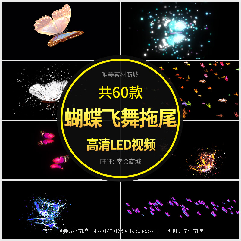 蝴蝶飞拖尾粒子后期特效制作动态AE带alpha通道透明背景视频素材