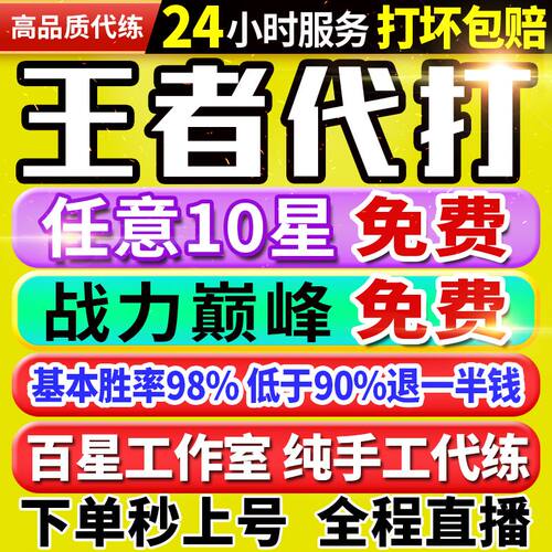 【30万粉丝丨秒上号丨国服工作室】王者荣耀代打代练打排位巅峰赛