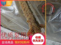 浸油石棉绳 水泵用填充料 优质黄油绳盘根8*8 牛油绳 规格齐全