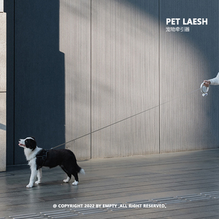 LED夜间照明 Pet Leash 多功能宠物牵引器 一键自动伸缩系统