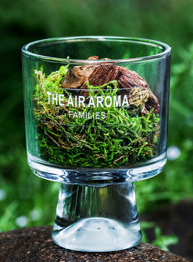 The Air Aroma | Forest 松木青苔扩香杯 森系无火香薰香氛摆件