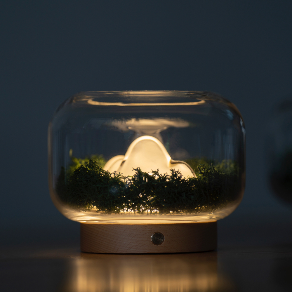 Nuan Lamp | Four Seasons 山川四季 暖山香薰灯 自然植物设计灯 节庆用品/礼品 创意/设计灯 原图主图