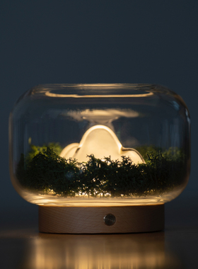 Nuan Lamp | Four Seasons 山川四季 暖山香薰灯 自然植物设计灯