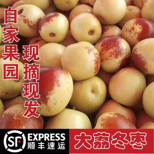 大荔冬枣自家果园脆甜爽口顺丰
