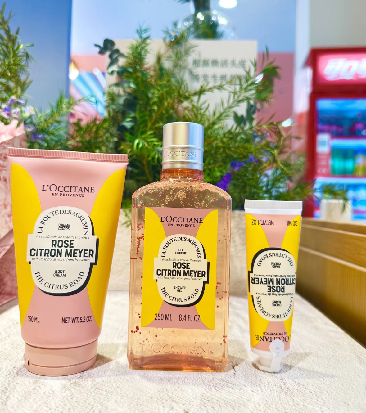 L'OCCITANE欧舒丹24年圣诞限定野玫瑰柠檬护手霜沐浴露身体乳礼盒