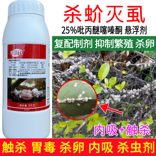 杀蚧灭虱25%吡丙醚噻嗪酮柑橘树介蚧壳虫木虱杀虫杀卵剂正品农药