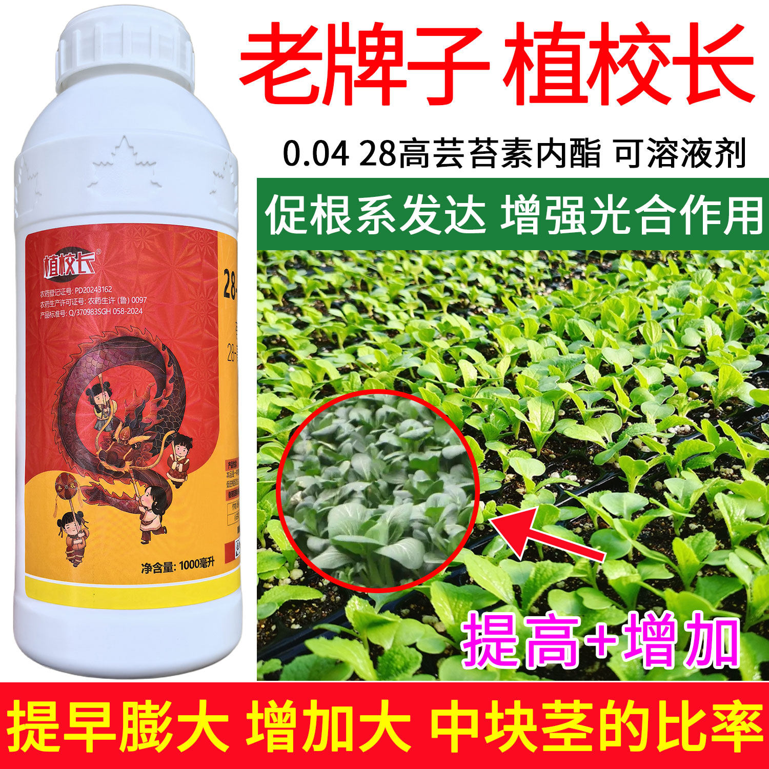 正品植校长28高芸苔素内酯正牌生长调节剂增加叶绿素提高光合作用