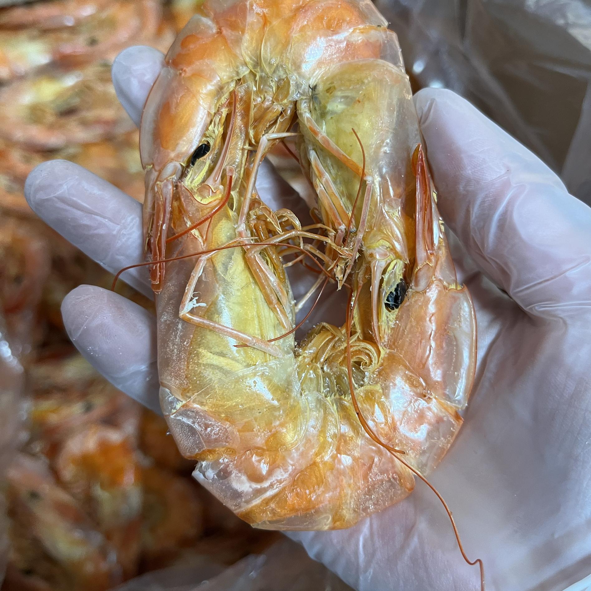 连云港海产品虾干即食零食海鲜干货零食大烤虾干500克袋 图案随机