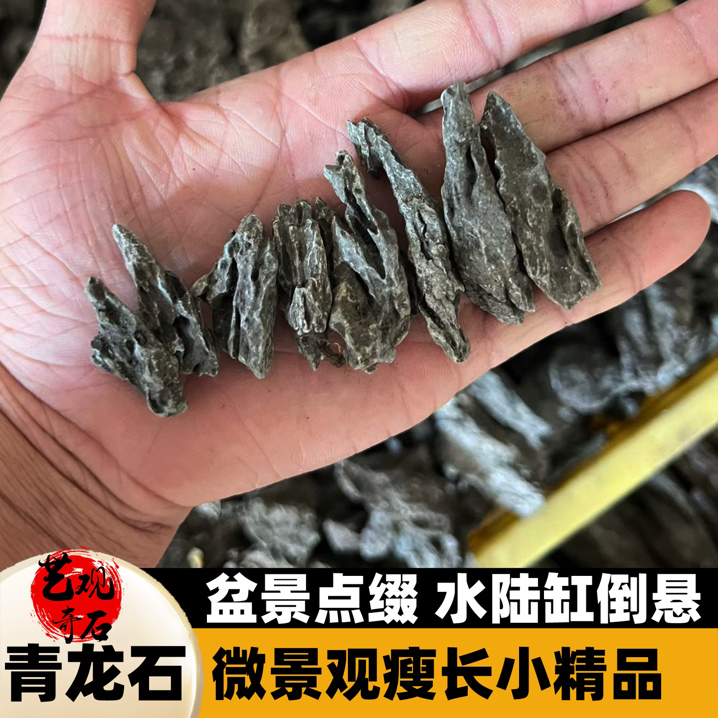 真石头青龙石鱼缸造景水陆缸倒悬悬浮微景观瘦长竖条纹精品瘦长石