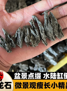 瘦长山峰精品水陆缸长条石
