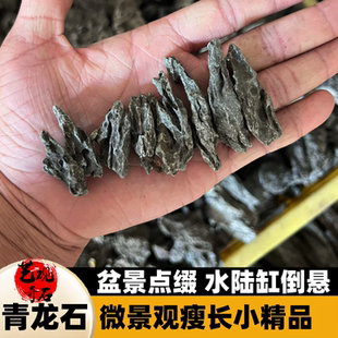真石头青龙石鱼缸造景水陆缸倒悬悬浮微景观瘦长竖条纹精品瘦长石