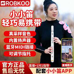 2026新款 锣钹小小笛电吹管乐器中老年人萨克斯电子管电音管旗舰店