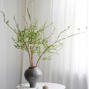 【云花甄选】雪柳花小手球花期长花苞多云南基地家庭水养鲜花真花