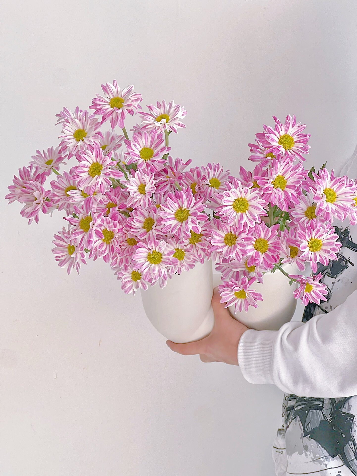 【云花甄选】稀有斑纹小雏菊菊花水养花期超长鲜切花云南直发顺丰