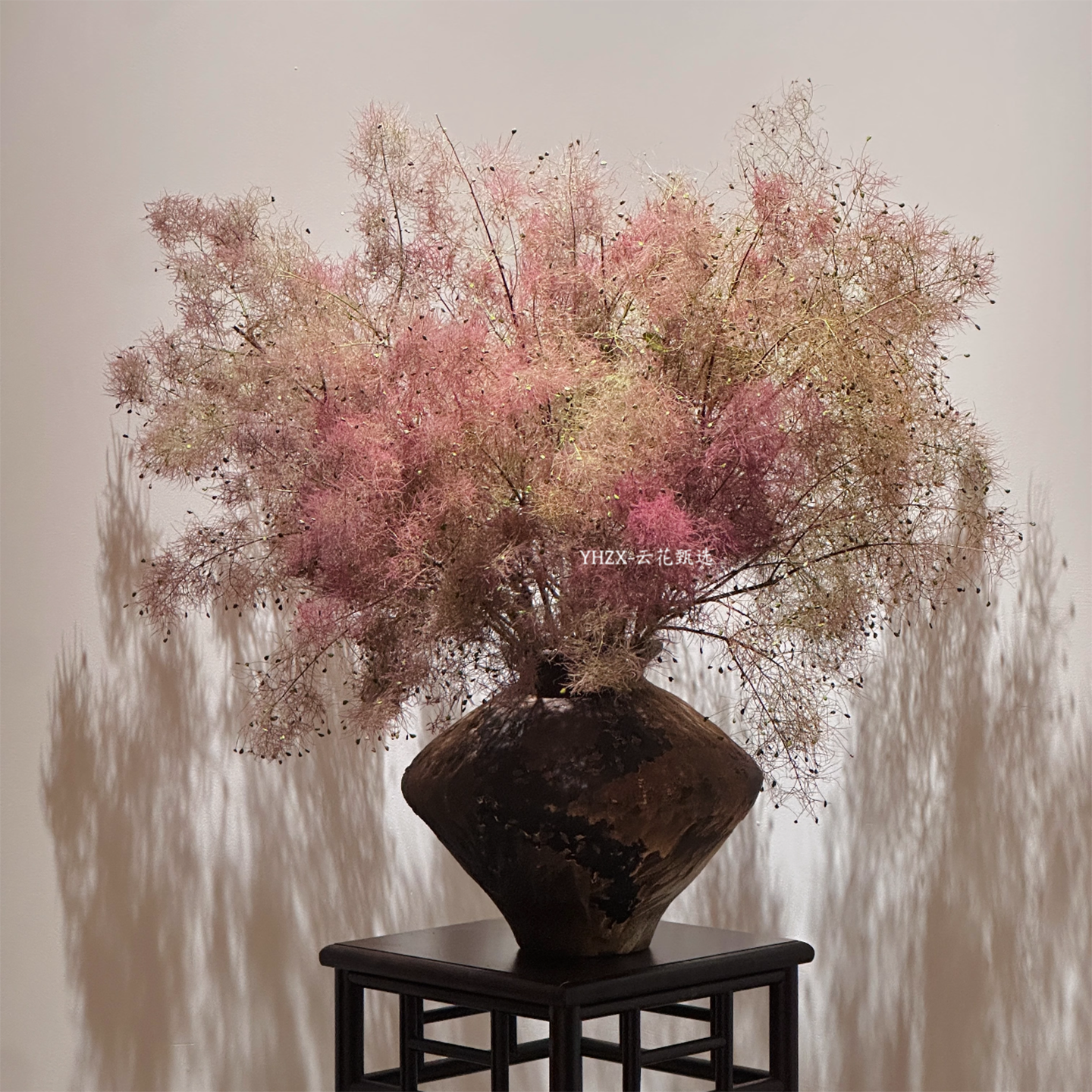 【云花甄选】雾中情人黄栌梦幻春季鲜花可做干花家居软装瓶插水养