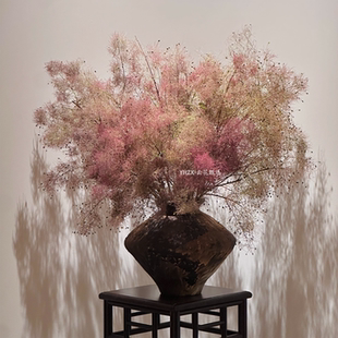 【云花甄选】雾中情人黄栌梦幻春季鲜花可做干花家居软装瓶插水养